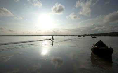 Vietnam-Sea-N-Salt-Series